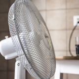 La vague de chaleur de juin 2025 a plusieurs similitudes avec celle de l'été caniculaire de 2003 selon Meteonews. De quoi faire dire au service de météorologie que août 2025 pourrait aussi être chaud selon les premières conclusions. (Photo : archives) KEYSTONE/JEAN-CHRISTOPHE BOTT